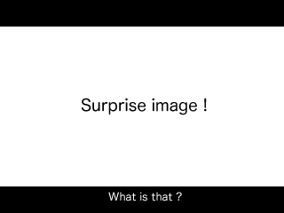 070909_surprise01.jpg